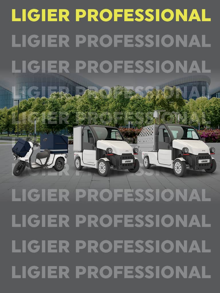 gamme utilitaires électriques ligier professional